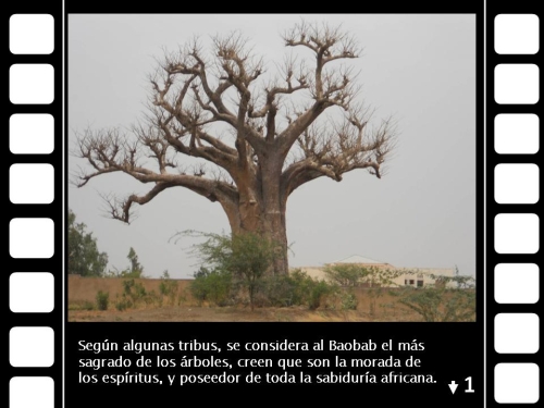 Diapositiva2