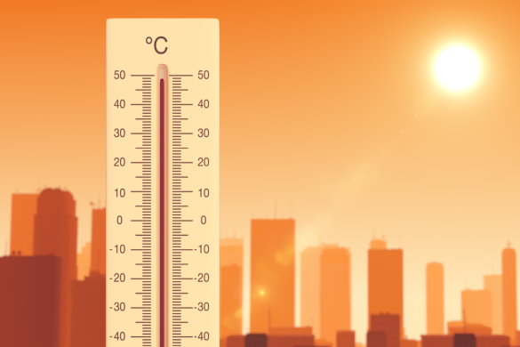 Passivhaus y climas extremos: Acciones de Grupo Lobe